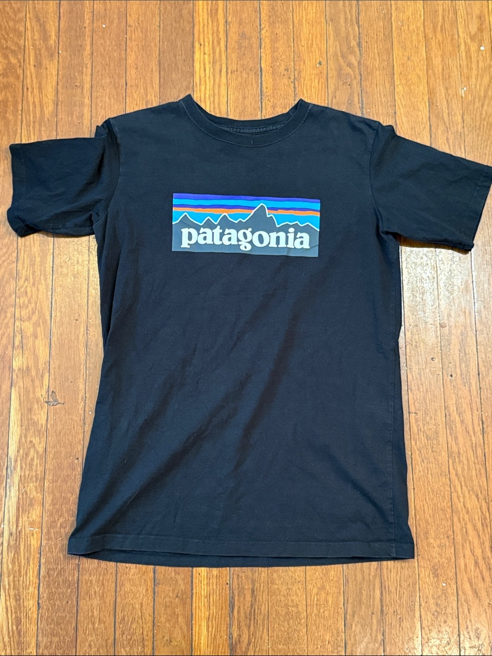 Patagonia Black Short-Sleeve Logo Tee with Multicolor Mountain Graphic